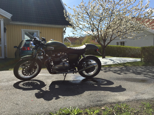 Preview of ./IMG_0342.jpg