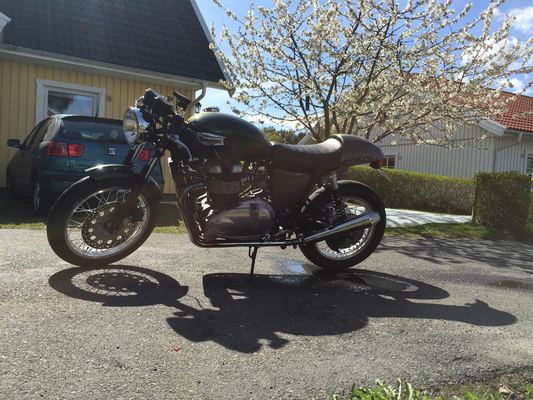 Preview of ./IMG_0352.jpg