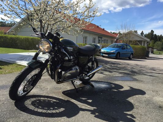 Preview of ./IMG_0353.jpg